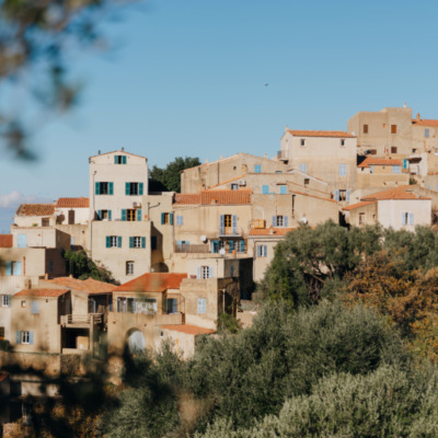 Pigna
