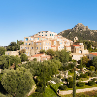 Pigna drone