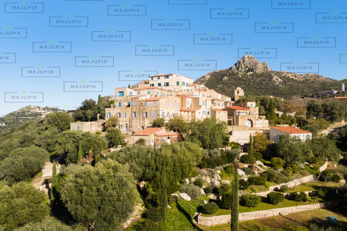 Pigna drone