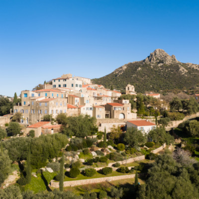 Pigna drone