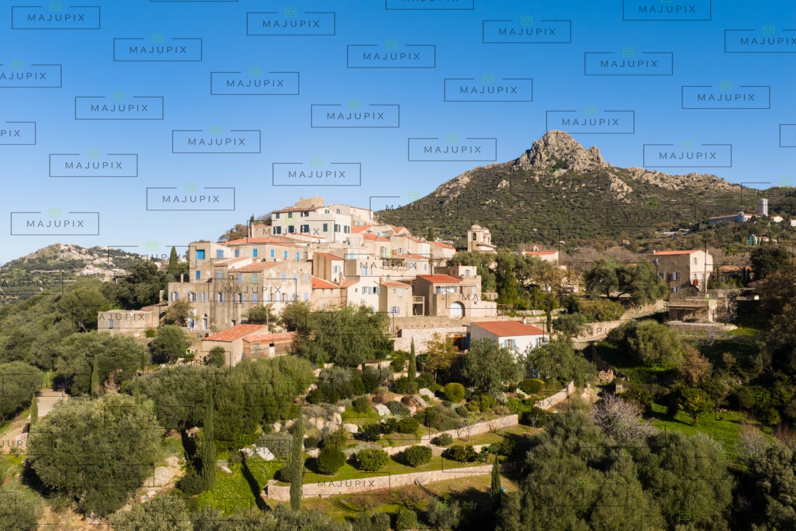Pigna drone