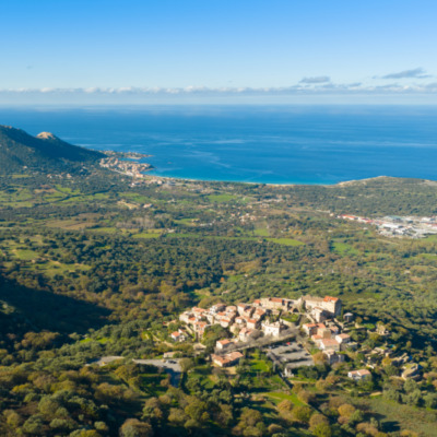 Pigna drone