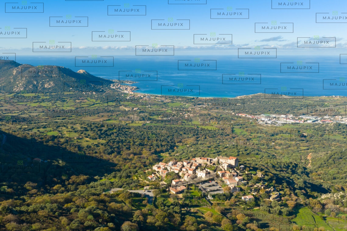 Pigna drone