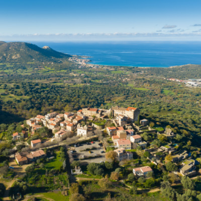 Pigna drone