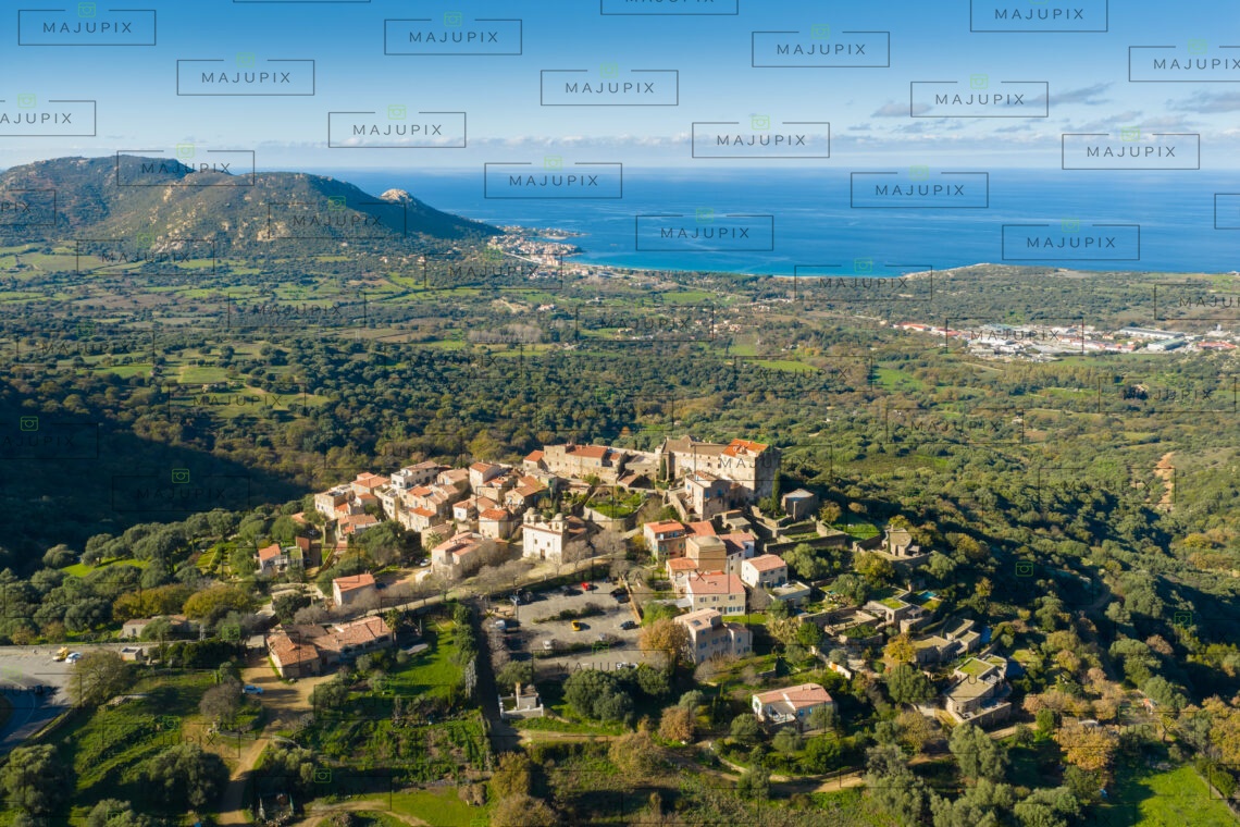 Pigna drone