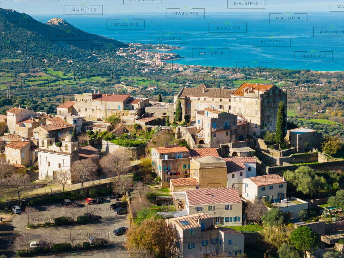 Pigna drone