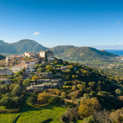 Pigna drone