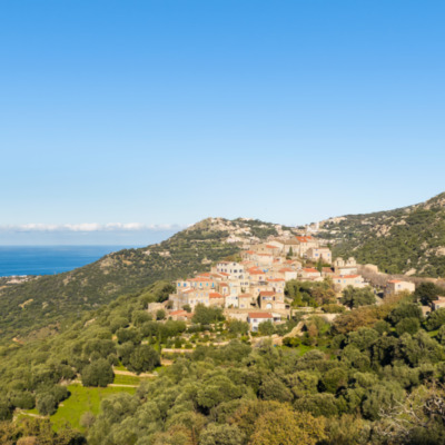 Pigna drone