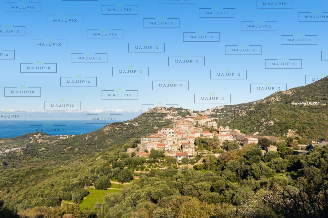 Pigna drone