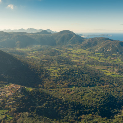 Pigna drone