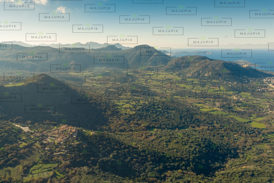 Pigna drone