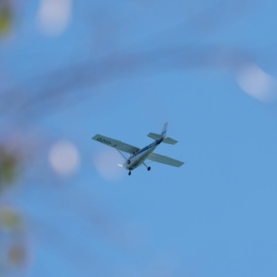 Avion