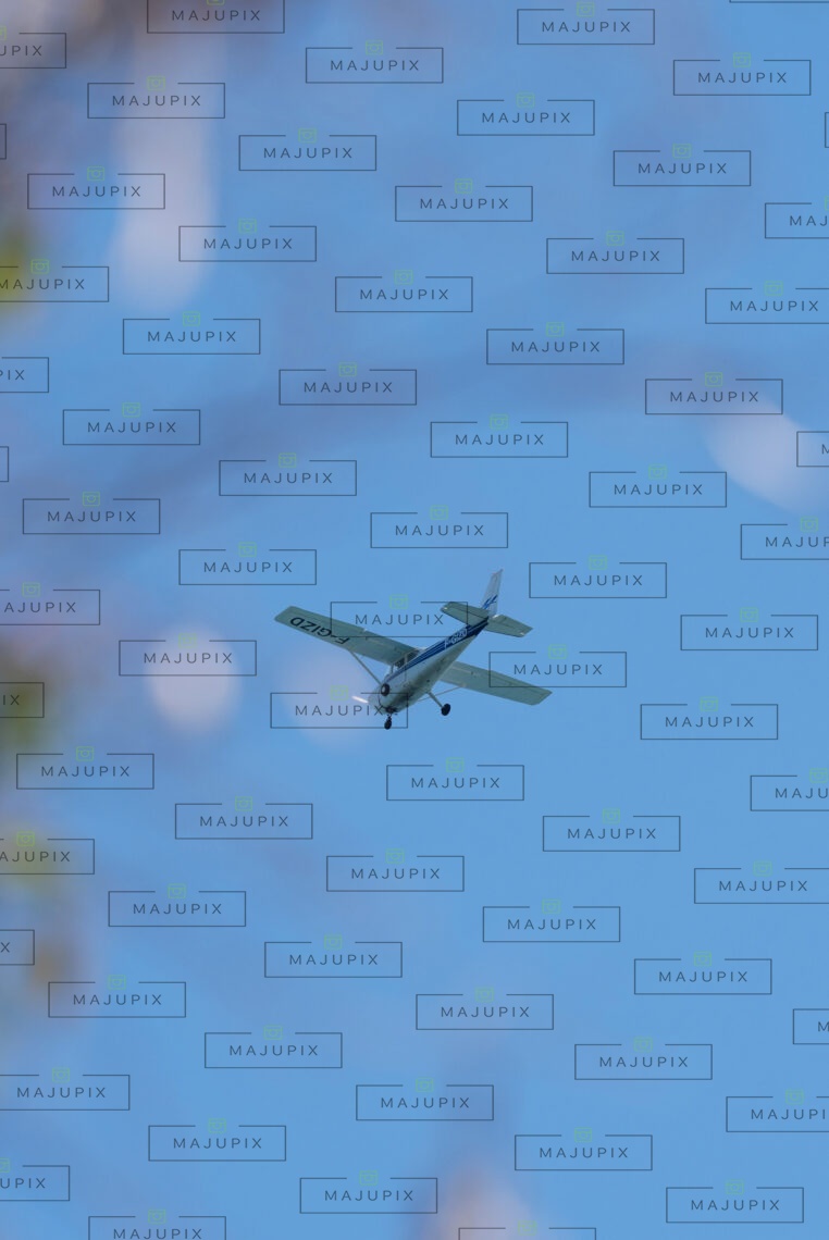 Avion