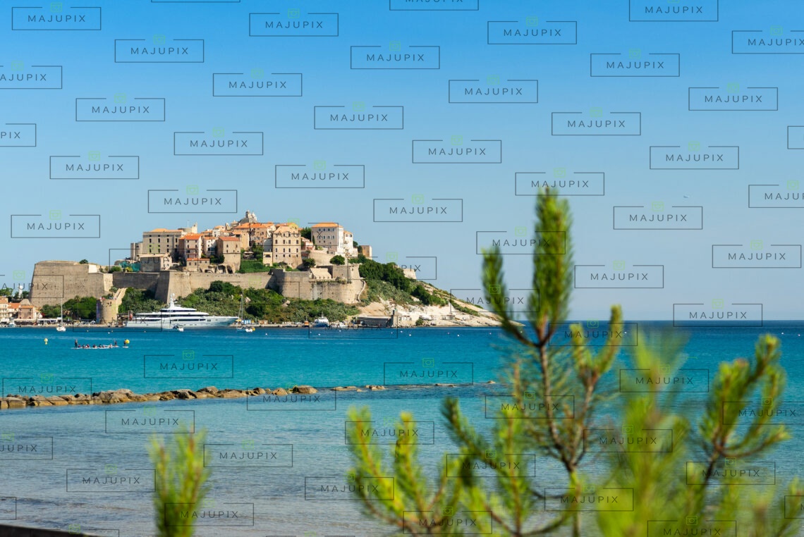 Citadelle et plage de Calvi