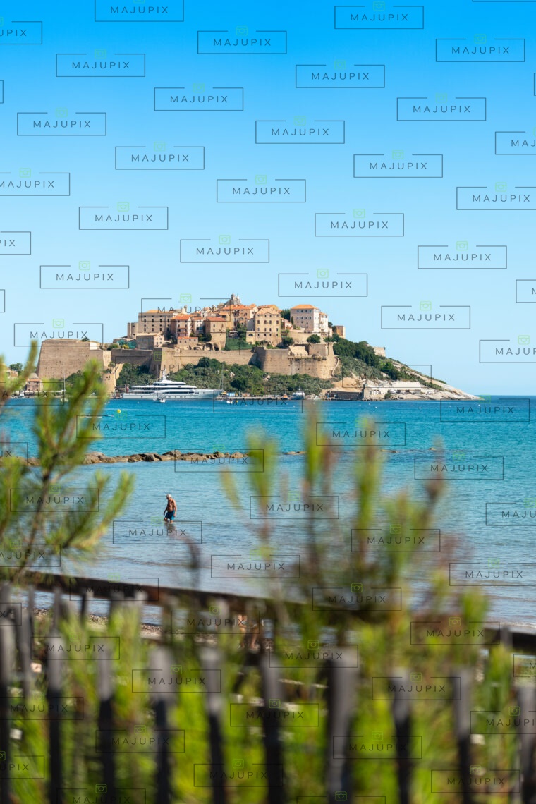Citadelle et plage de Calvi