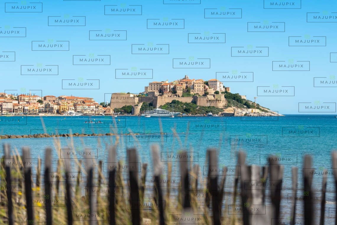 Citadelle et plage de Calvi