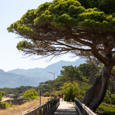 Plage de Calvi