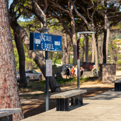 Plage de Calvi