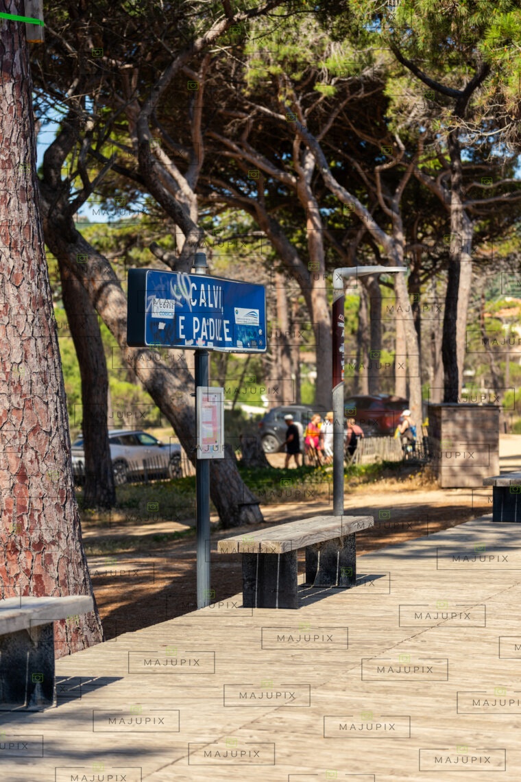 Plage de Calvi