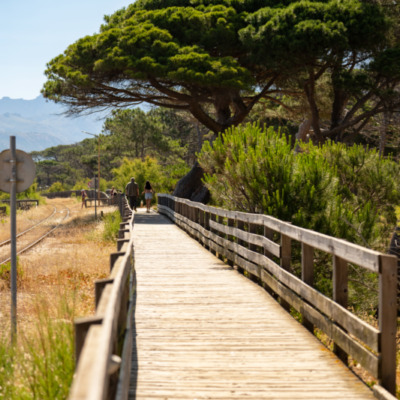 Plage de Calvi