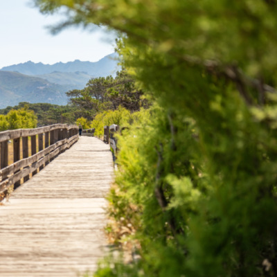 Plage de Calvi