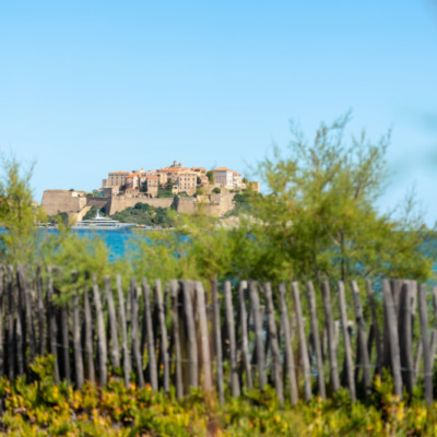 Citadelle et plage de Calvi