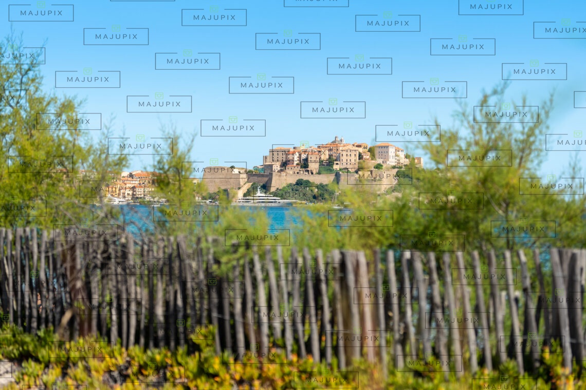 Plage et citadelle de Calvi