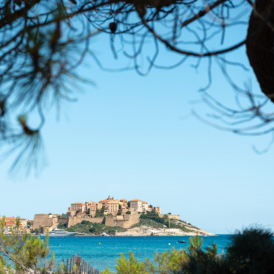 Citadelle et plage de Calvi