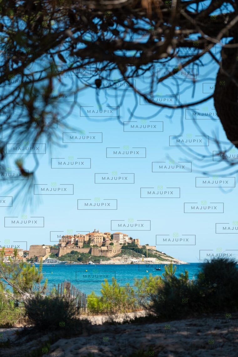 Citadelle et plage de Calvi
