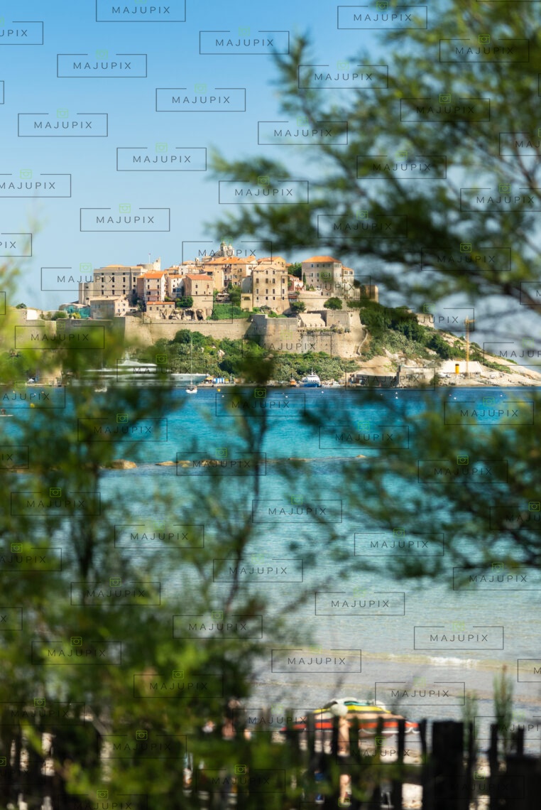 Plage et citadelle de Calvi