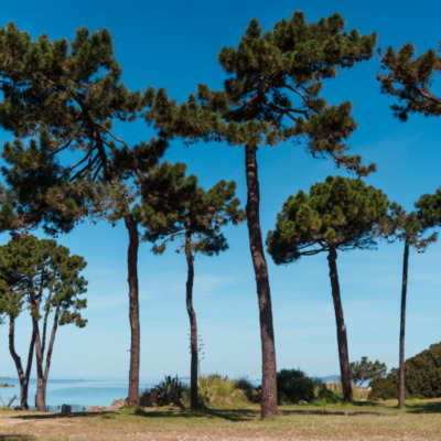 Plage de Mare e Sole Pietrosella