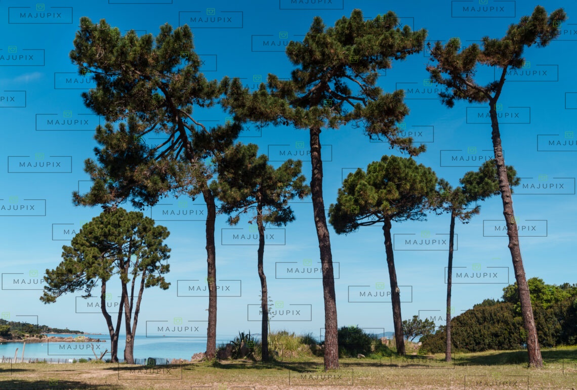 Plage de Mare e Sole Pietrosella