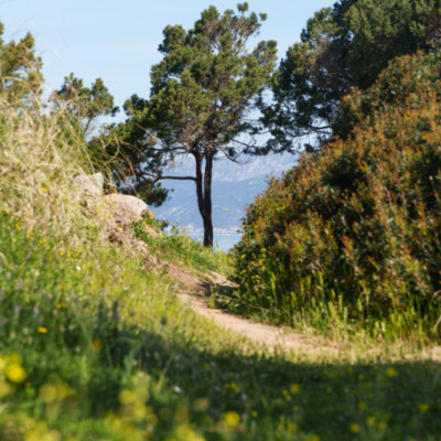 Plage de Mare e Sole Pietrosella