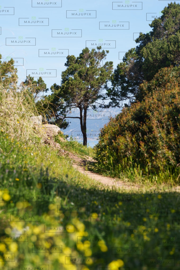 Plage de Mare e Sole Pietrosella