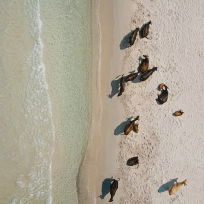 Plage de Mare e Sole Pietrosella drone