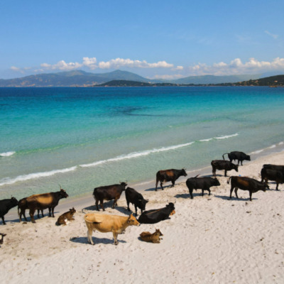 Plage de Mare e Sole Pietrosella drone