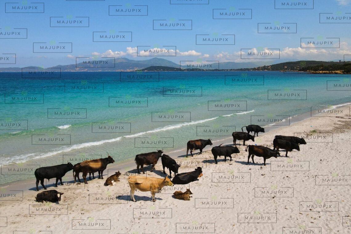 Plage de Mare e Sole Pietrosella drone