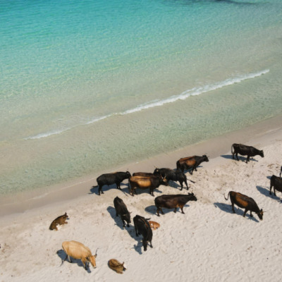 Plage de Mare e Sole Pietrosella drone