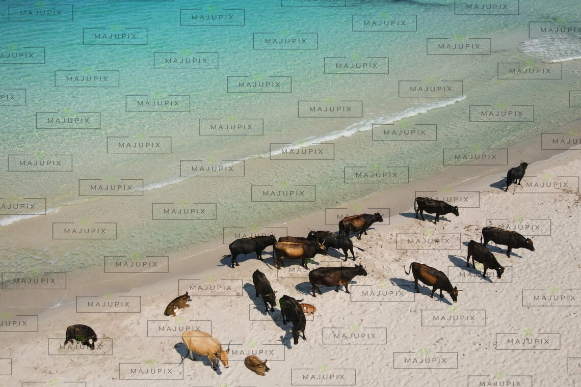 Plage de Mare e Sole Pietrosella drone