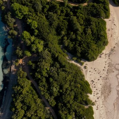 Plage de Rondinara