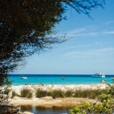 Plage de Saleccia