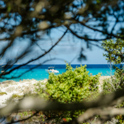 Plage de Saleccia