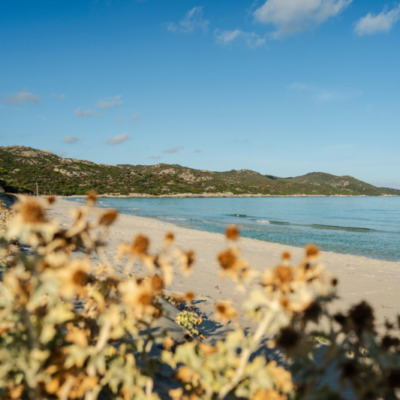 Plage de Saleccia