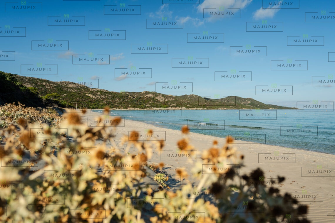 Plage de Saleccia