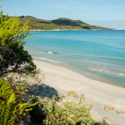 Plage de Saleccia