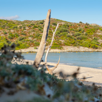 Plage de Saleccia