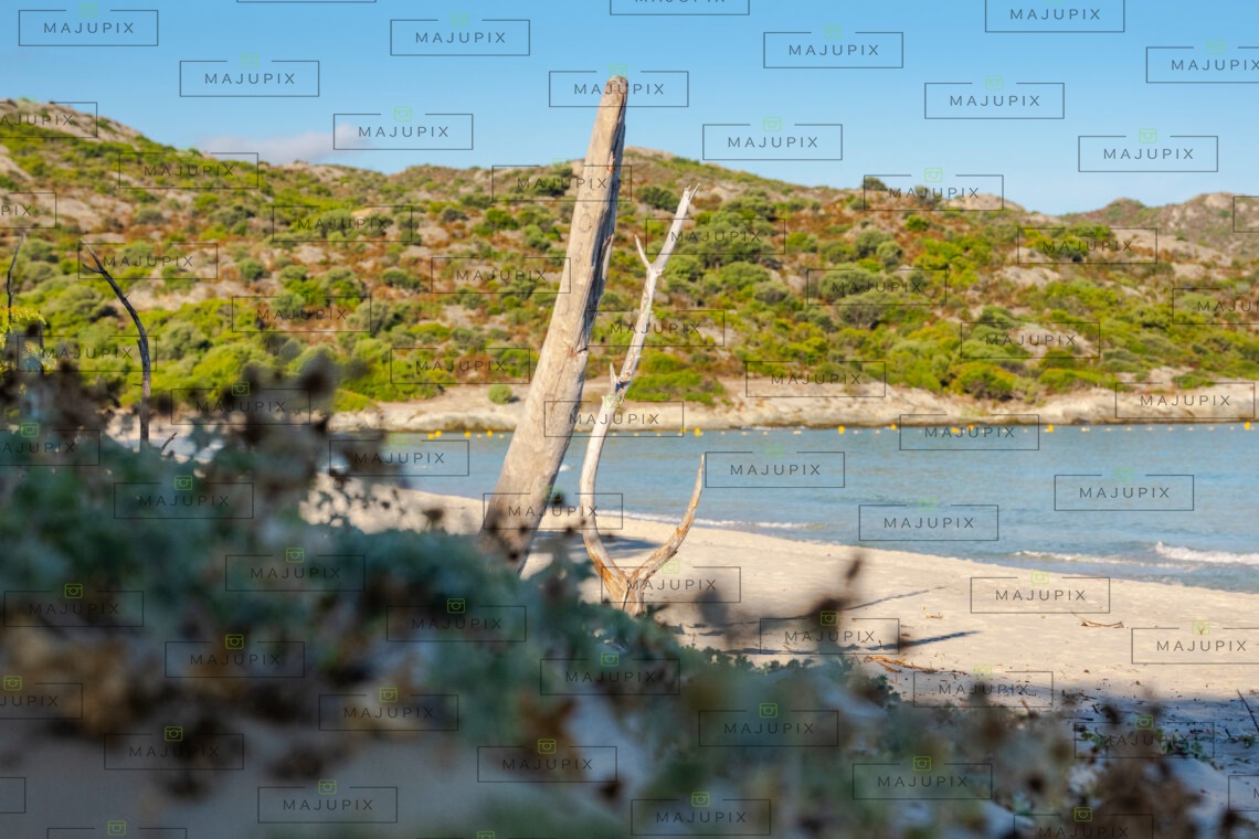 Plage de Saleccia