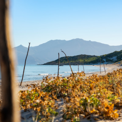 Plage de Saleccia