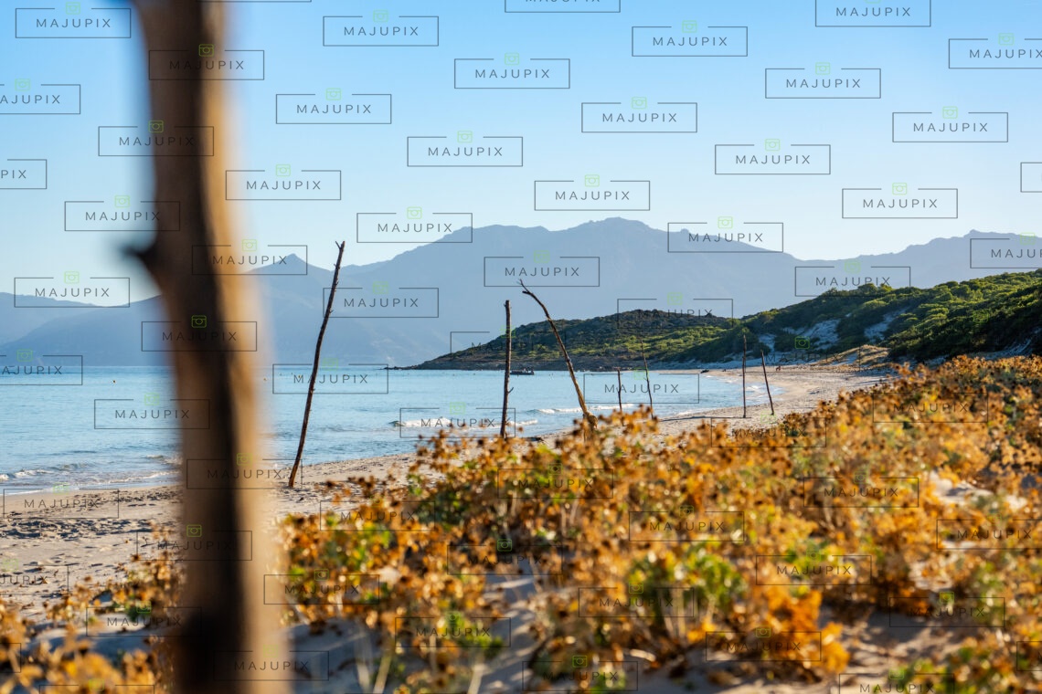 Plage de Saleccia