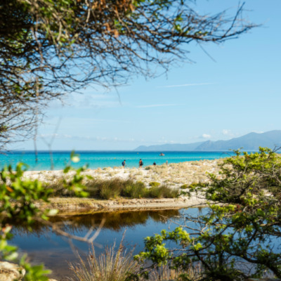 Plage de Saleccia